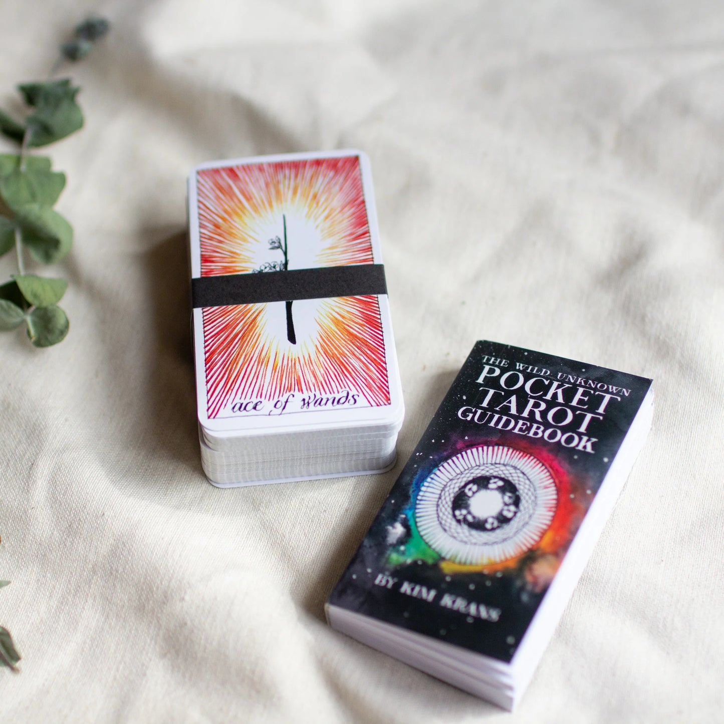 Wild Unknown Mini Tarot Deck