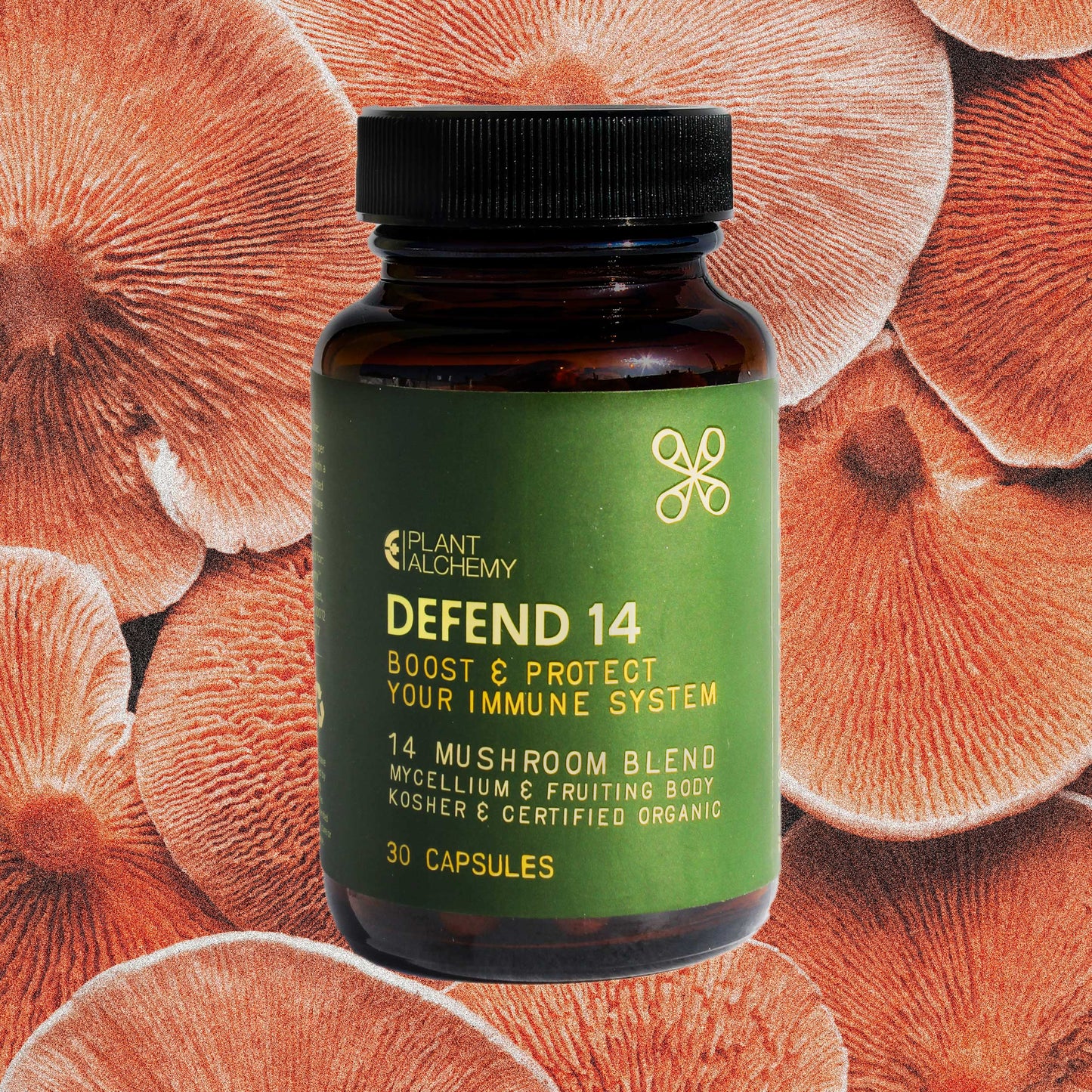 Defend 14 - Mushroom Capsules