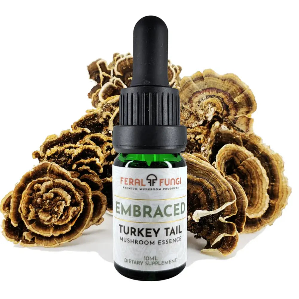 Turkey Tail Mushroom Tincture